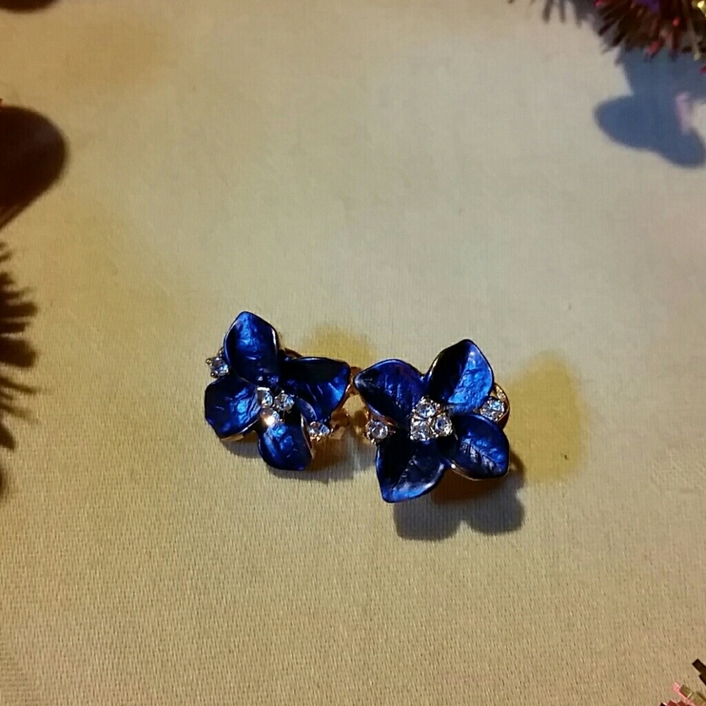 NEW EARRINGS